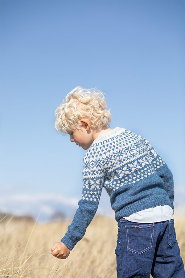 103-21 Dovrefjell jacka