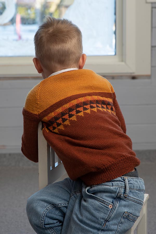 2110-15 Gulliver tröja