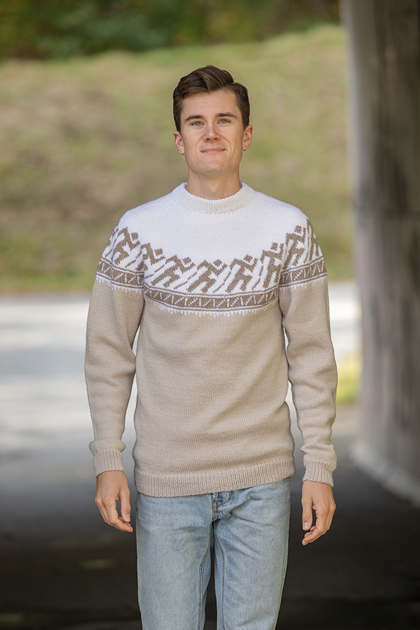 2139-4a Springar tröja