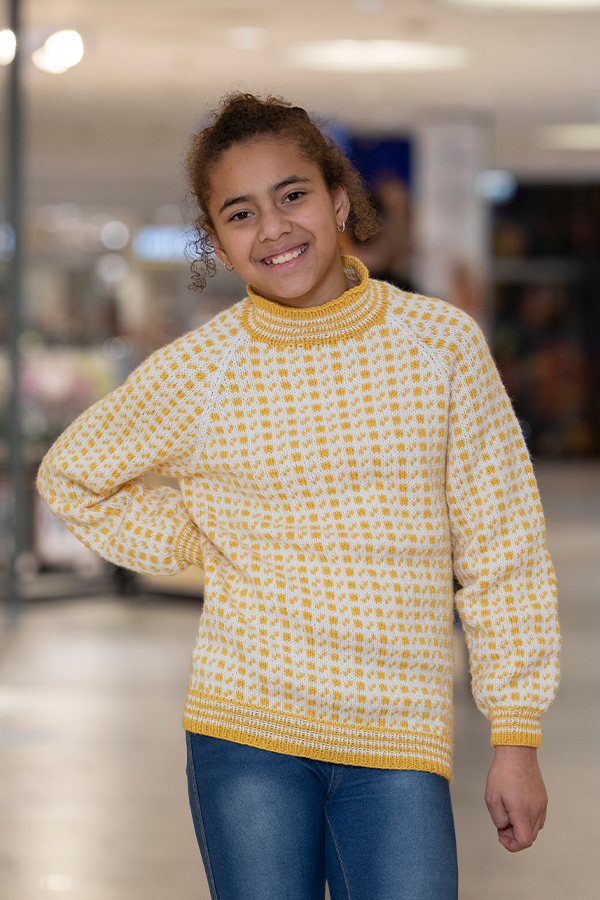 2210-8 Islender tröja