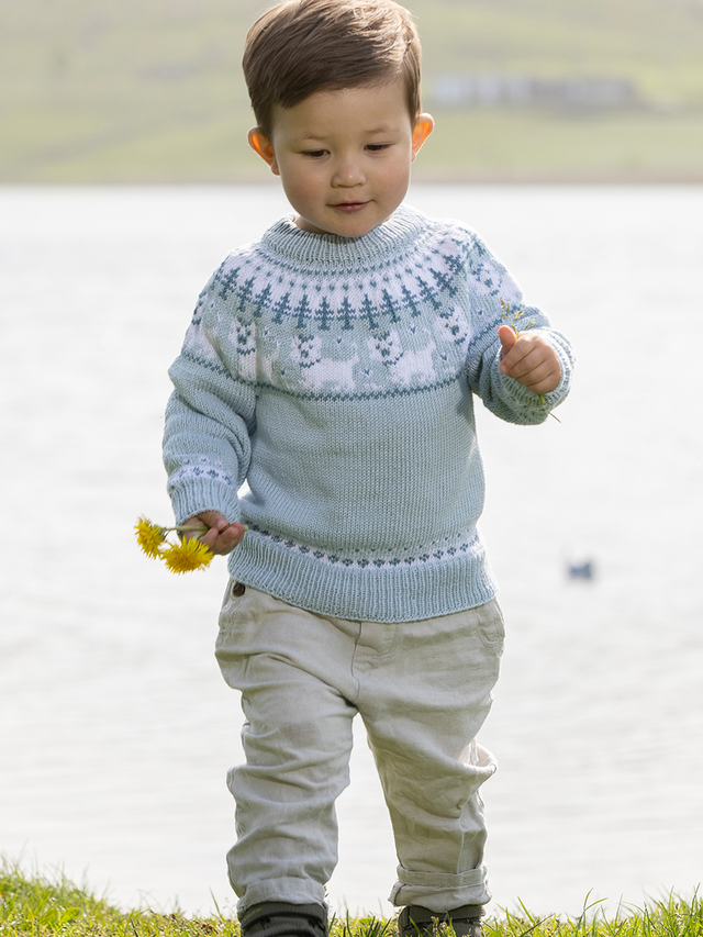 2323-6a Hunde tröja