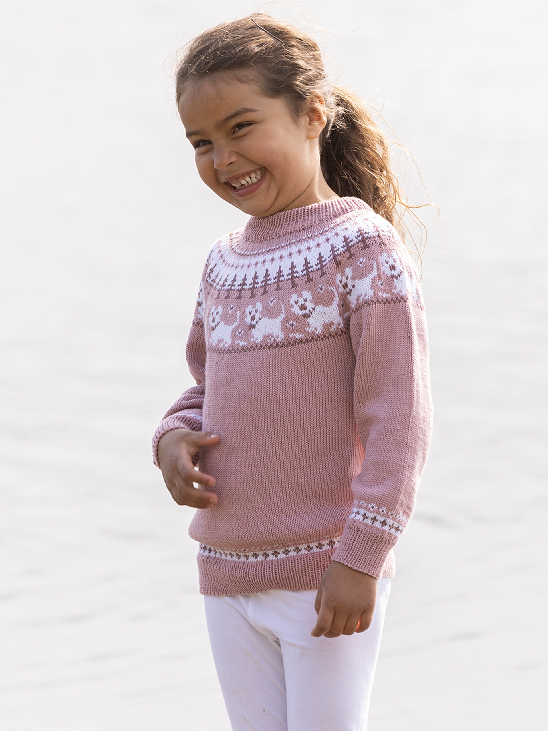 2323-6b Hunde tröja