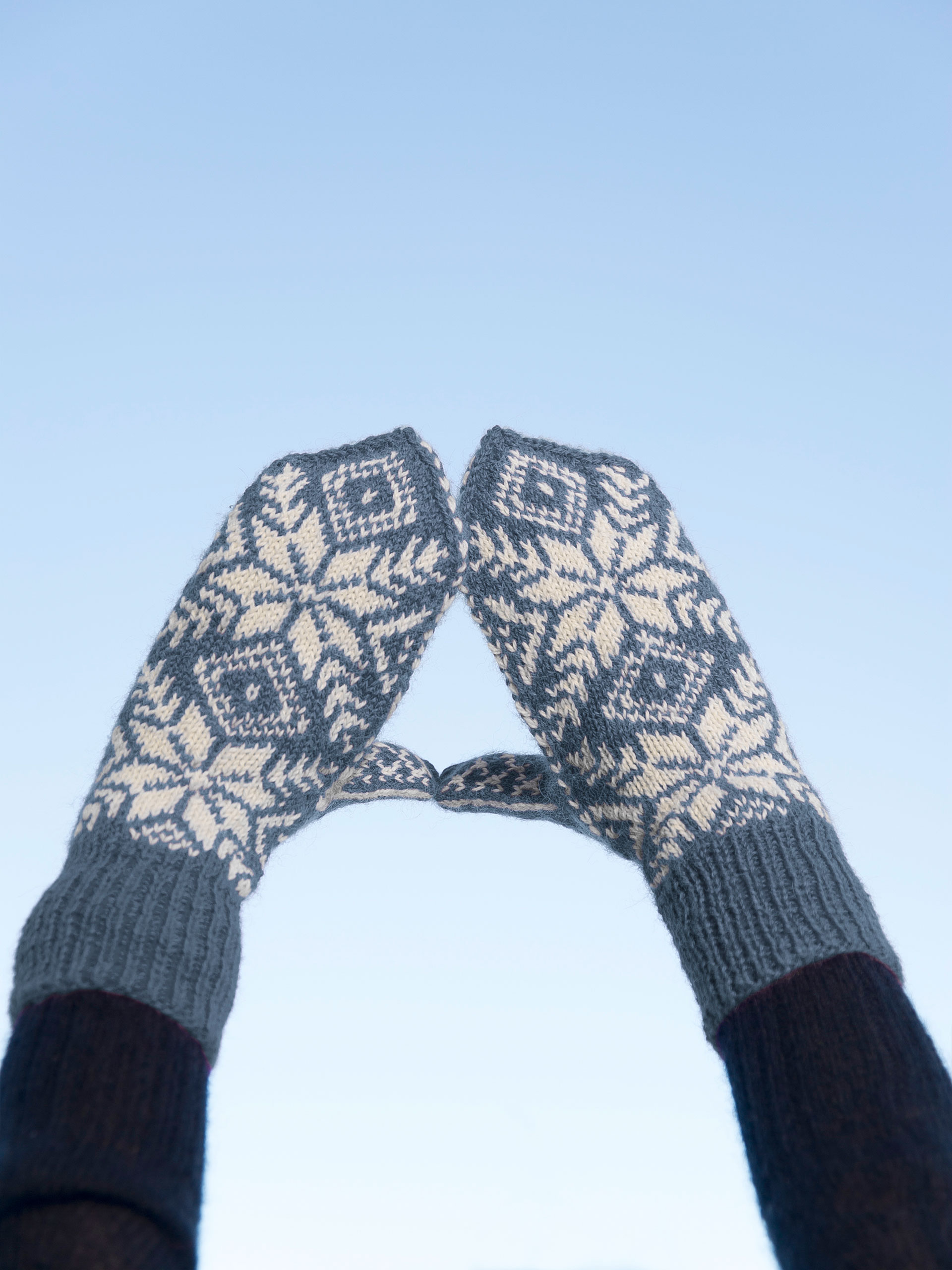 275-17d Rosemønster votter