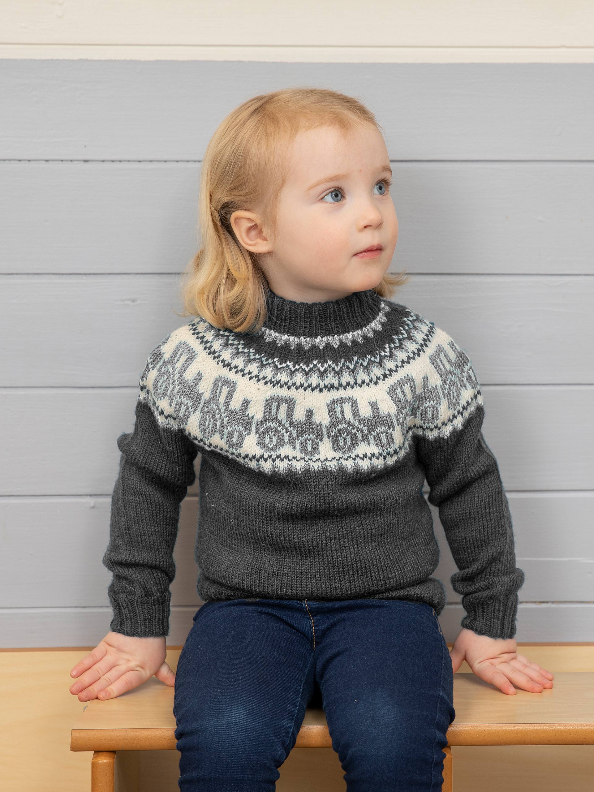 2110-5h Traktor genser