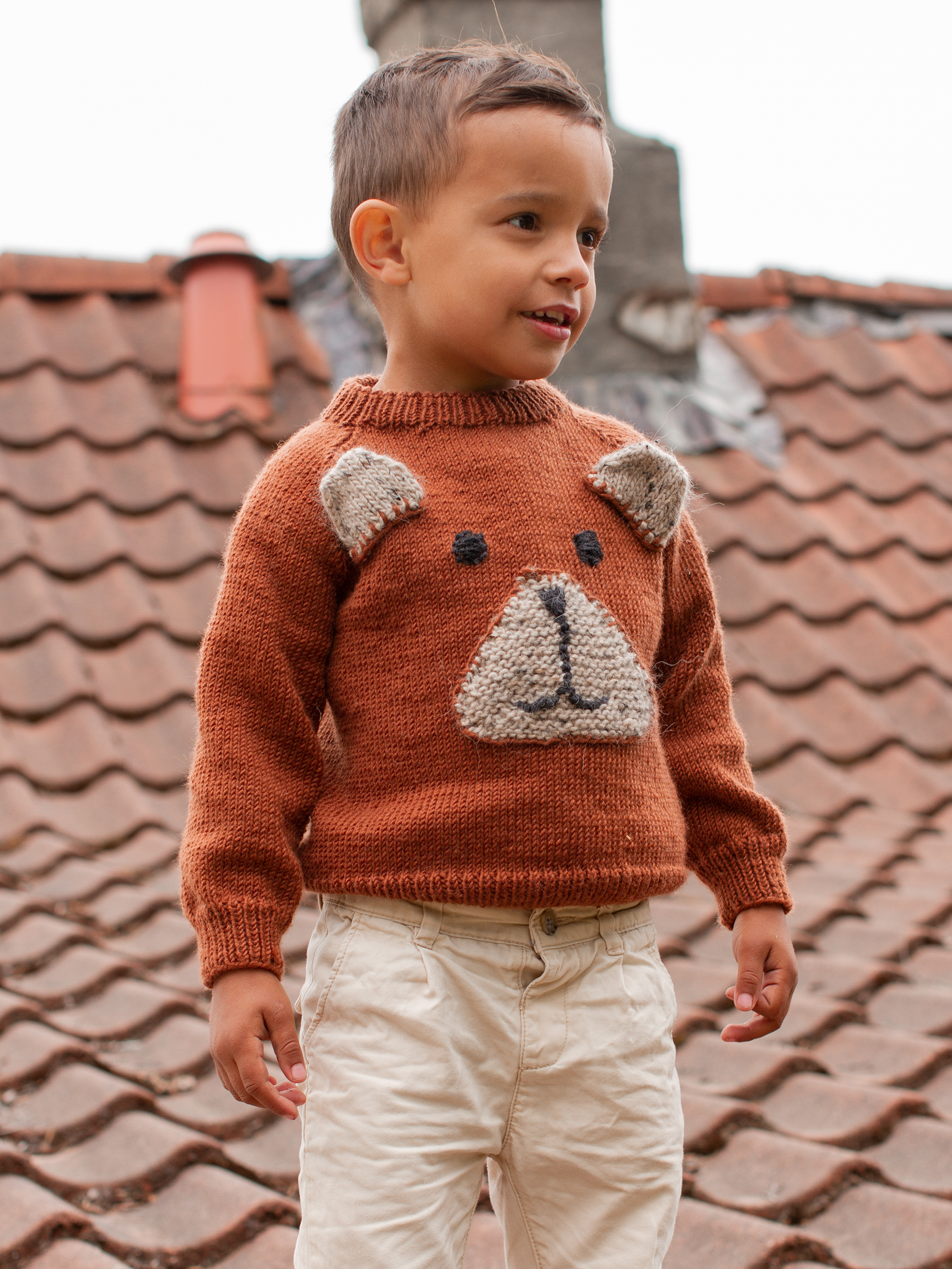 BJØRNAR tröja rustbrun