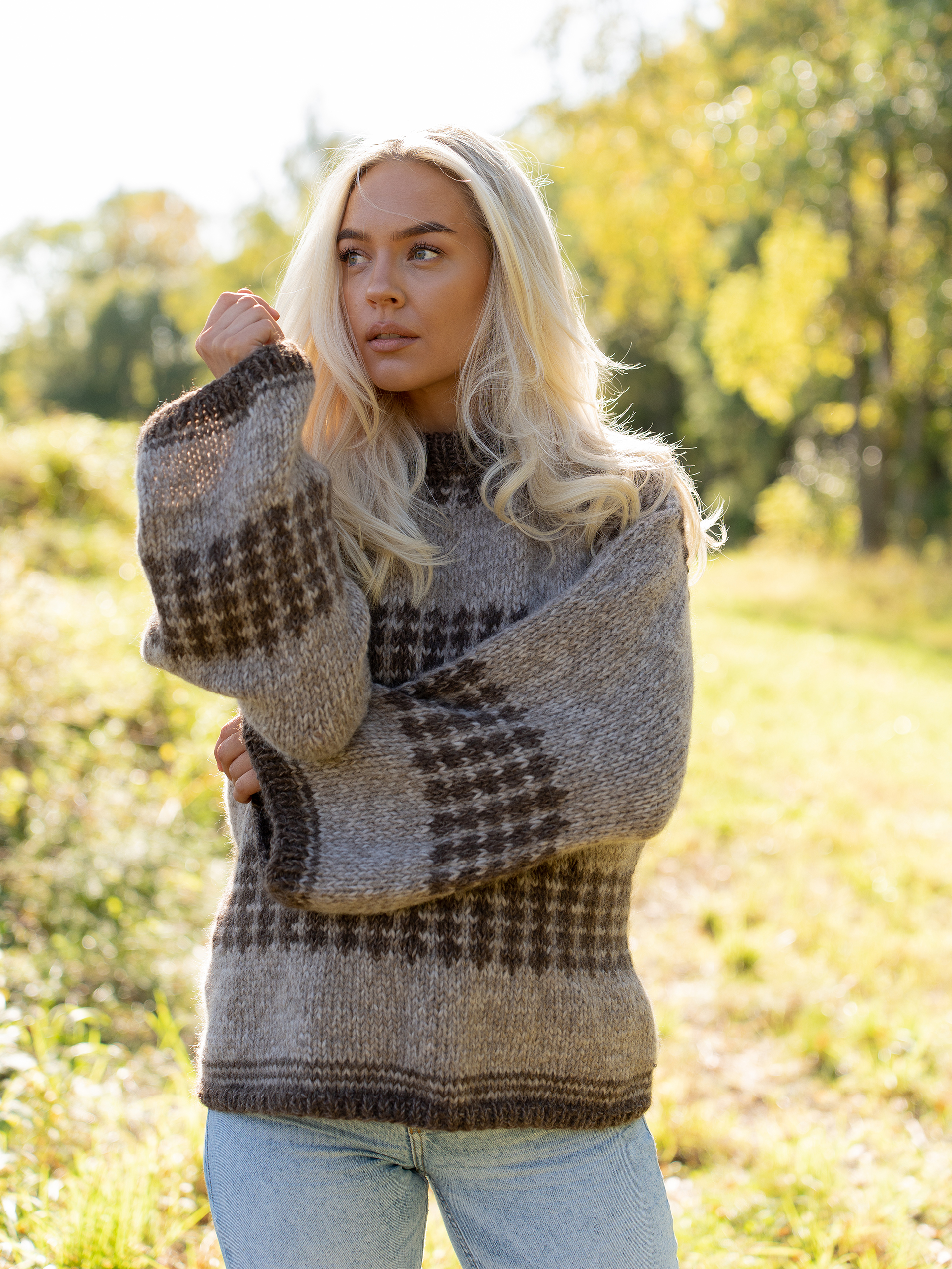 Charlie Saga tröja beige/brun