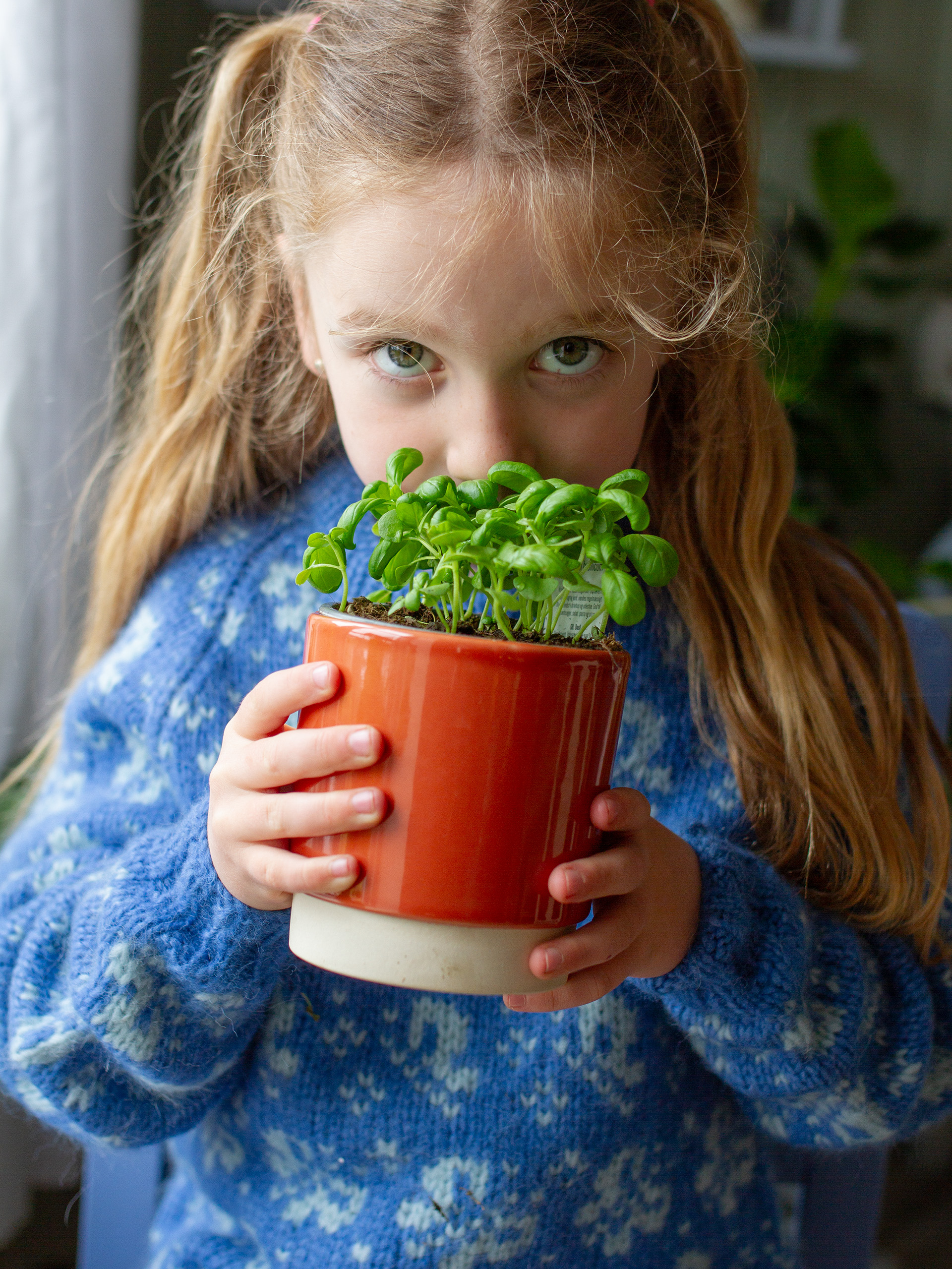 423K-05b JUNIDRØM tröja