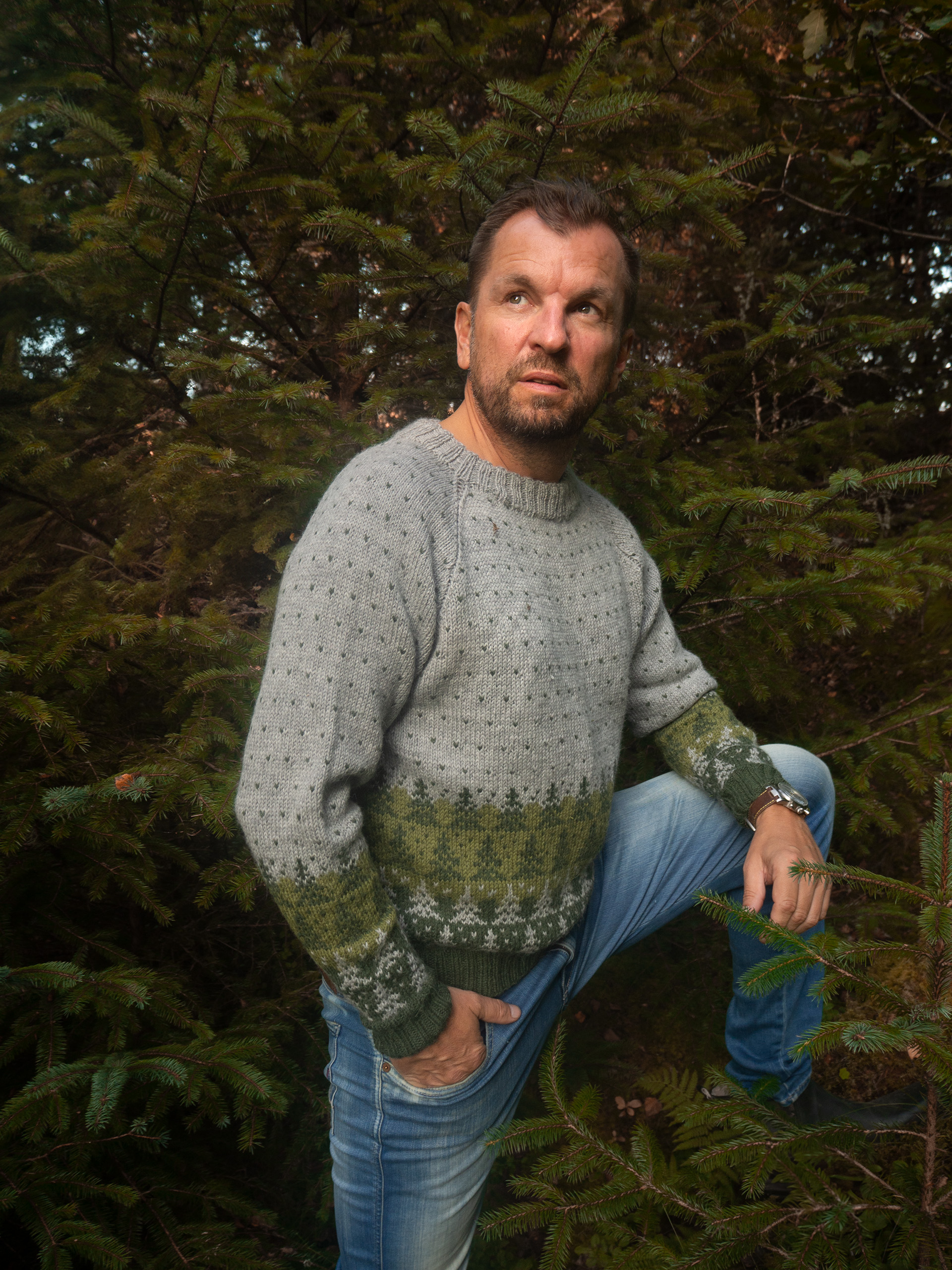 424K-04a PINEWOOD tröja herr