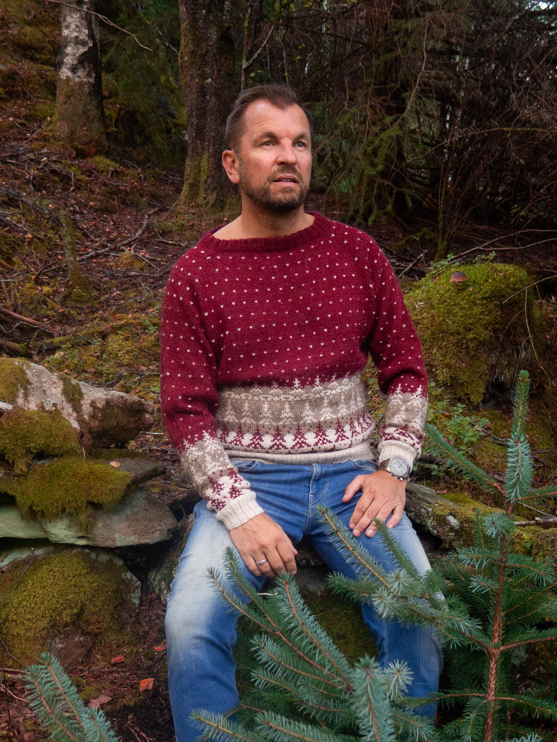 424K-04b PINEWOOD tröja herr