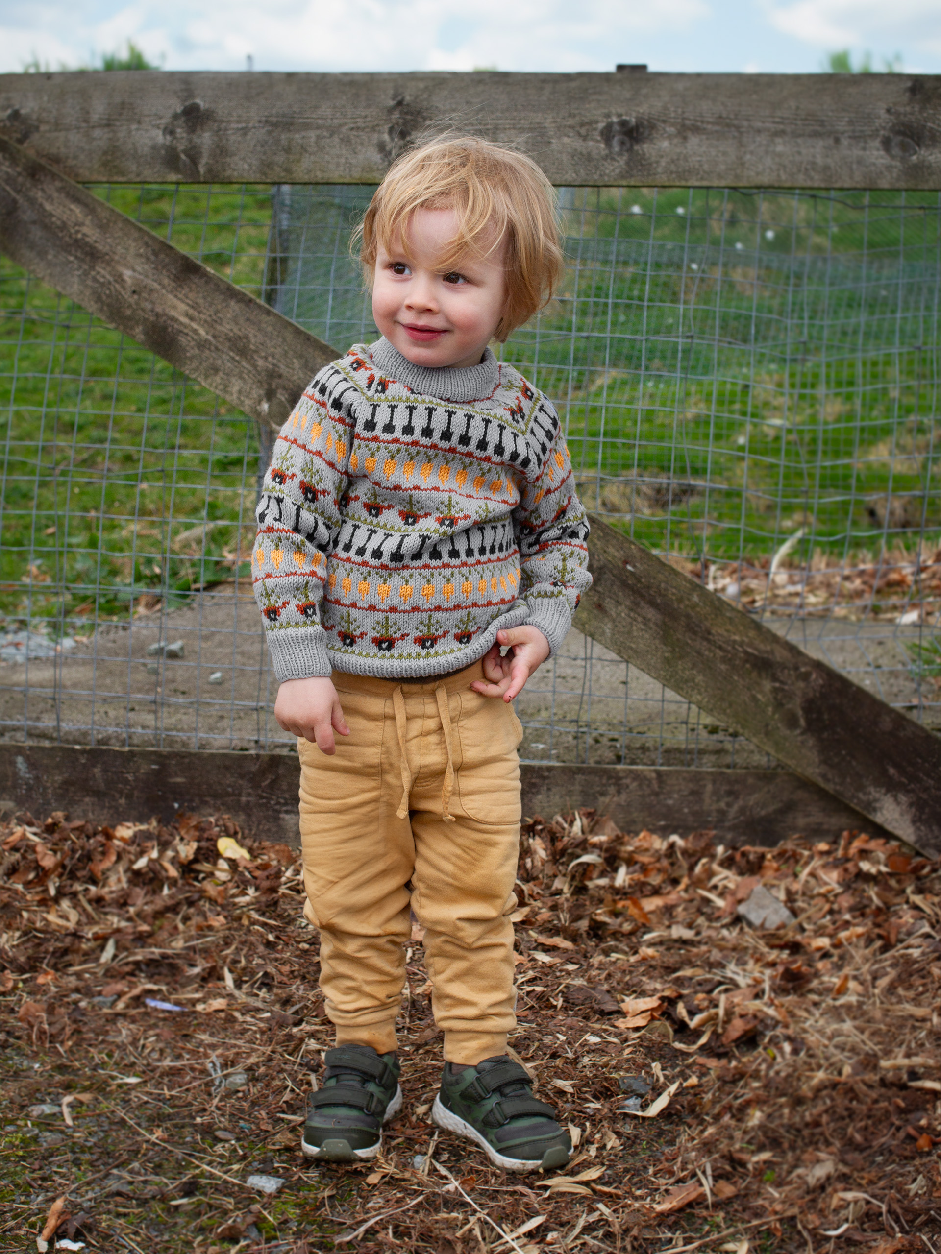 423K-07a RØTTER tröja mini