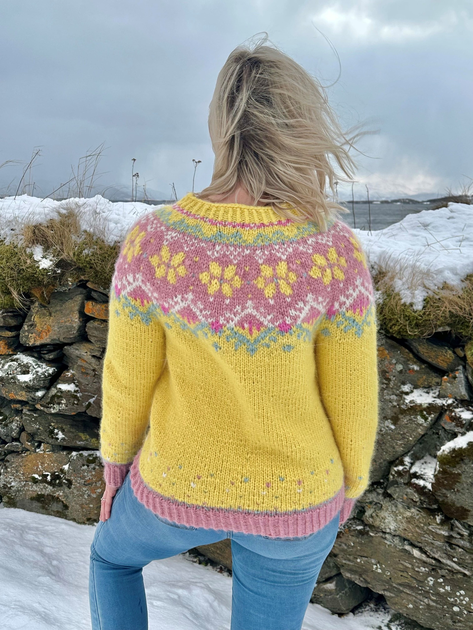 521E-07a Sommarnord tröja