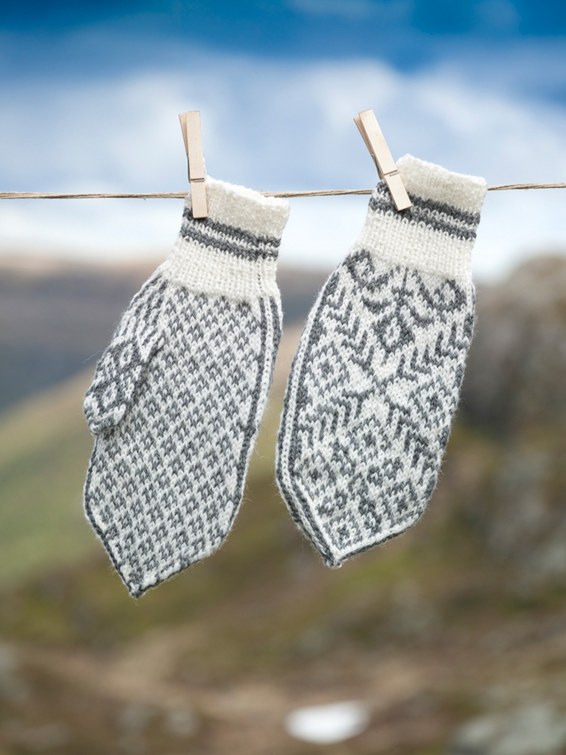 219-17 Reindal votter