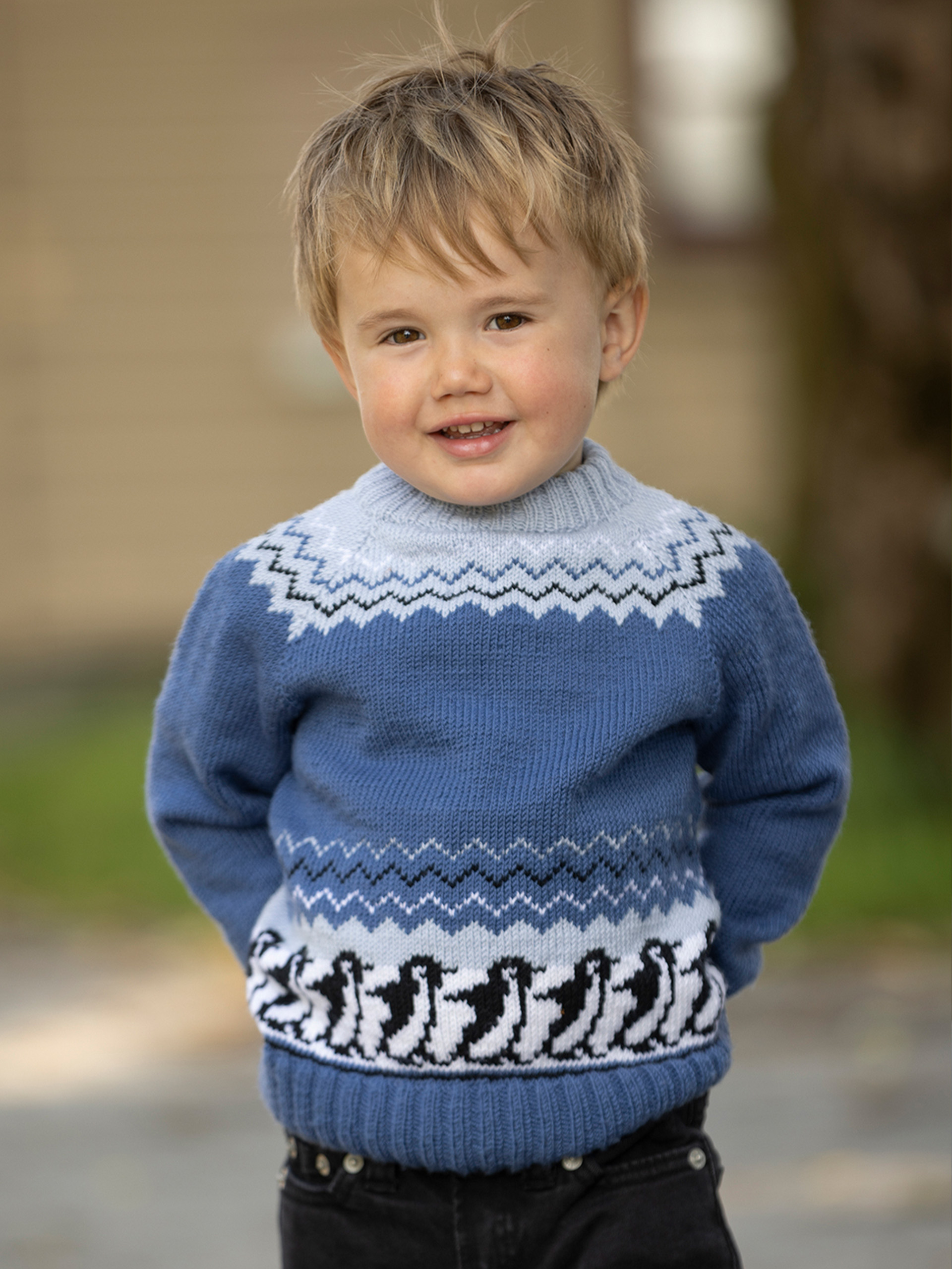 2424-3 Sørpolen genser