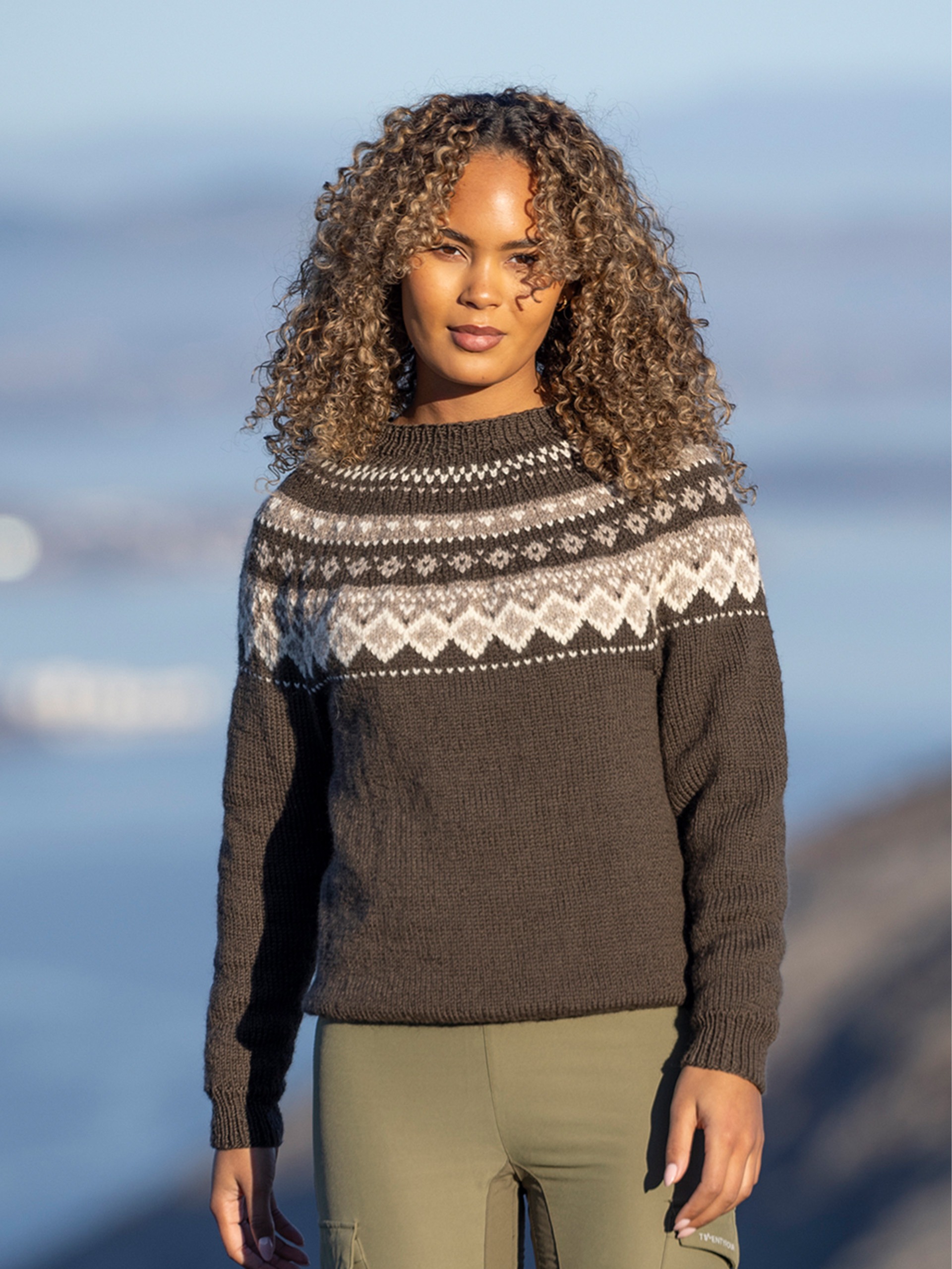 2524-1a Fjellbris genser