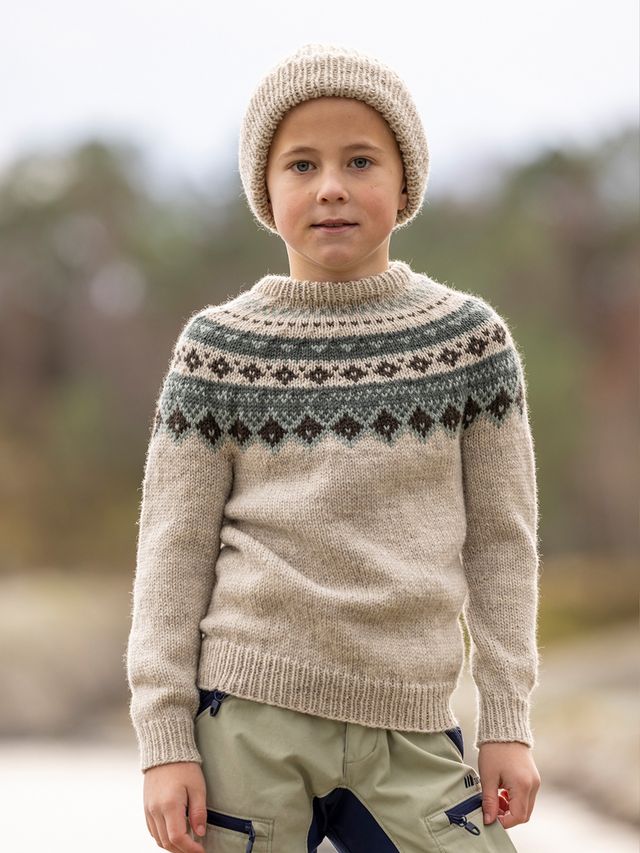 2525-1b Fjellbris genser