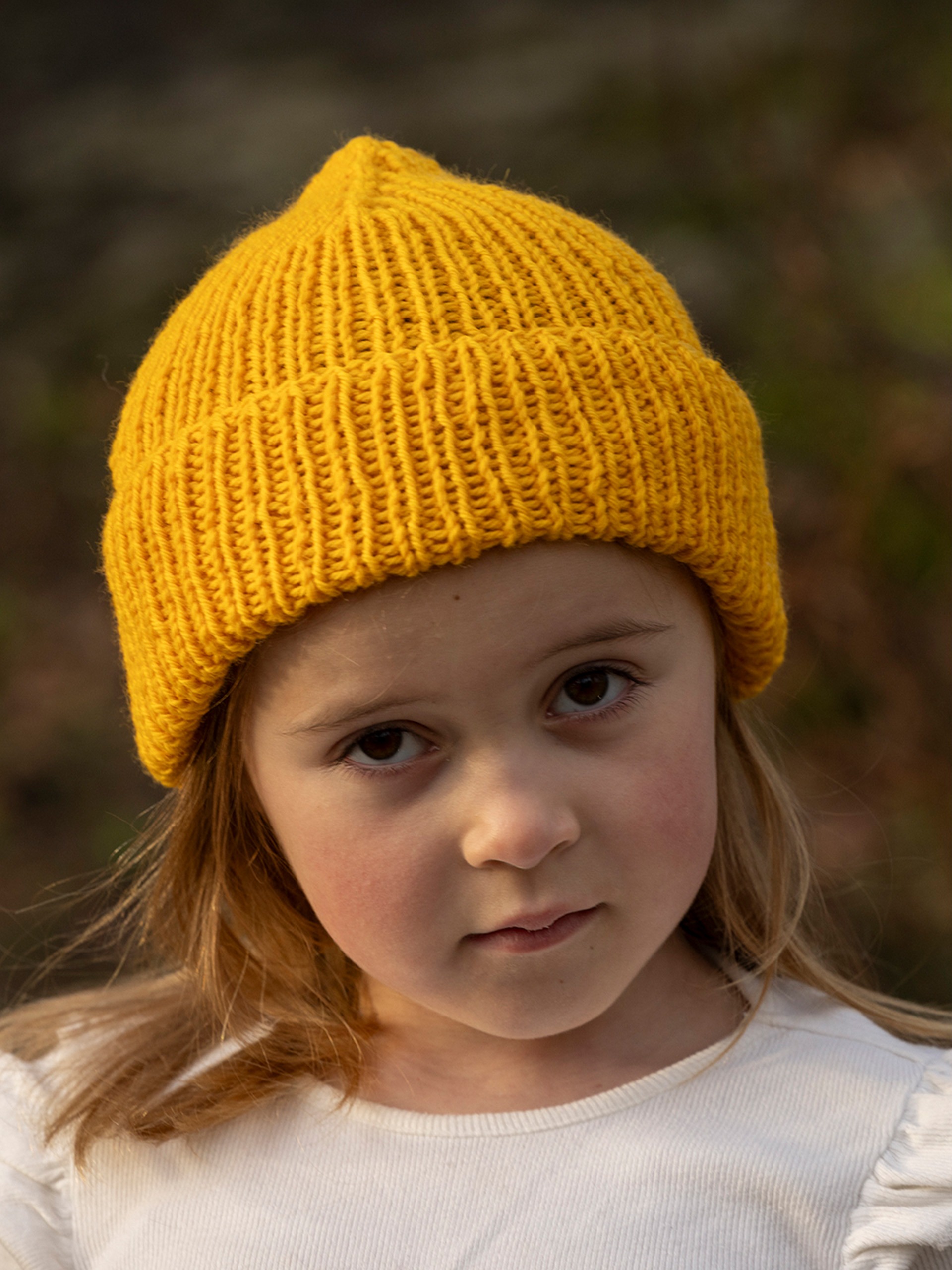 2525-2c Morgondis lue