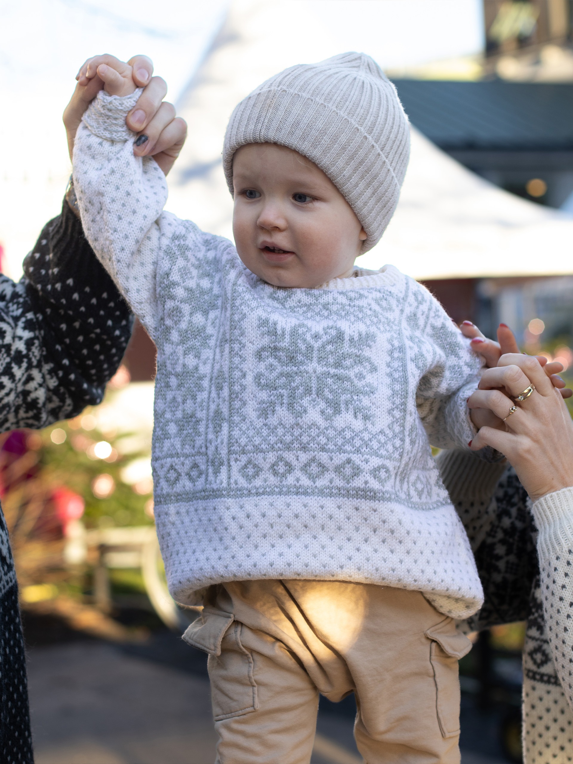 496-09 Røisheim genser