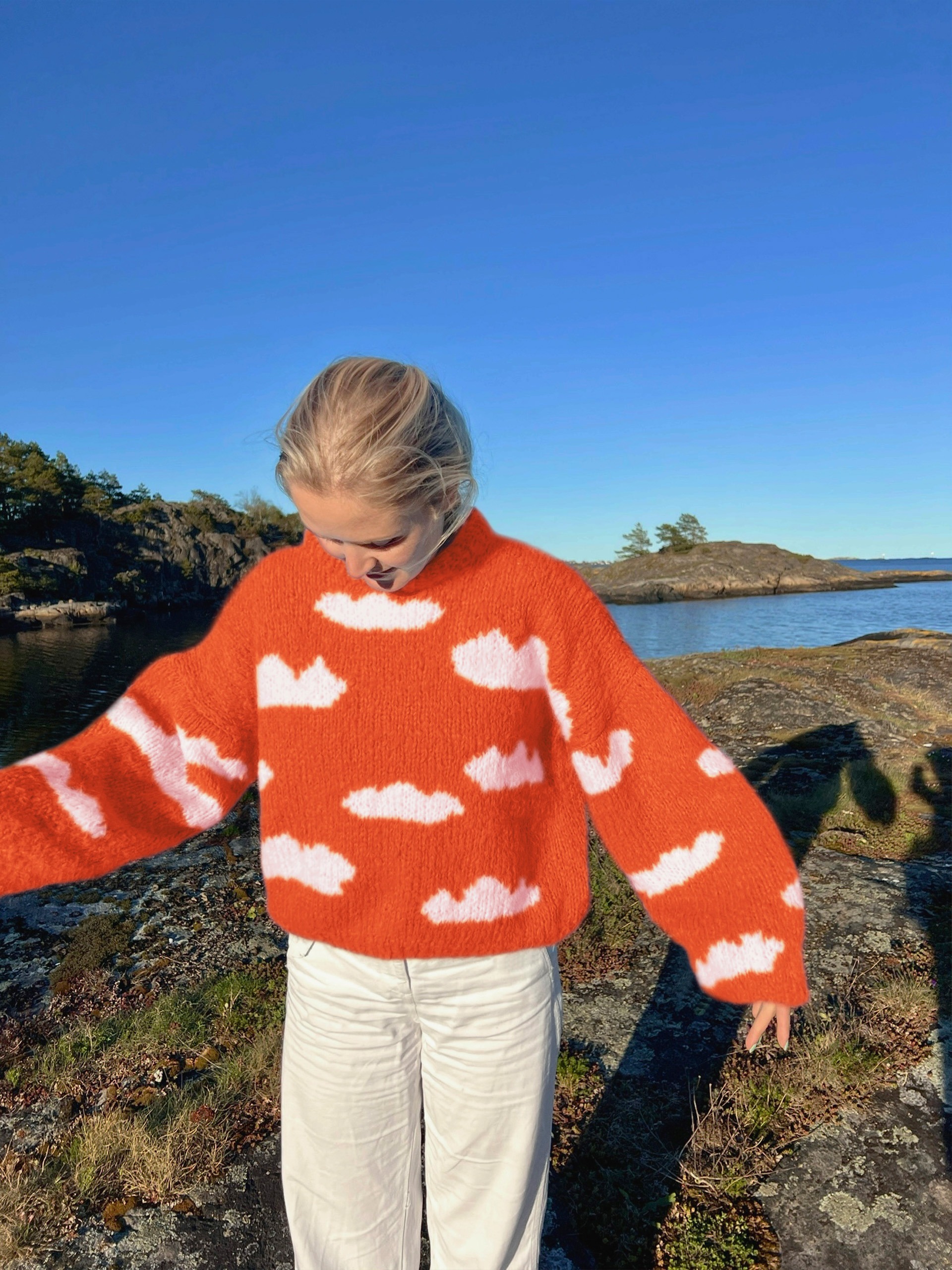 IR 01-04aa Skyhigh genser (Fnugg in Florence)