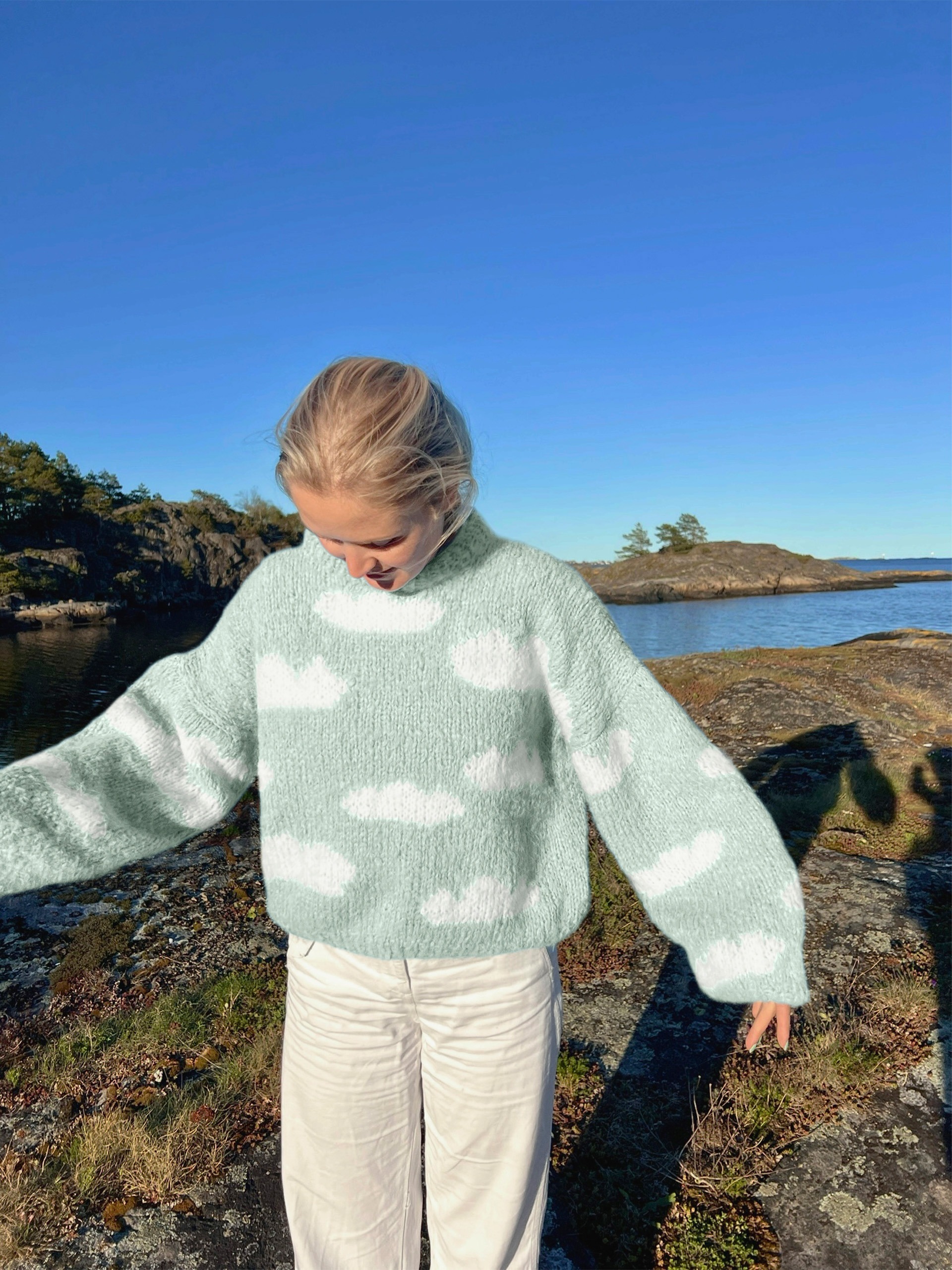 IR 01-04af Skyhigh genser (Fnugg in Florence)