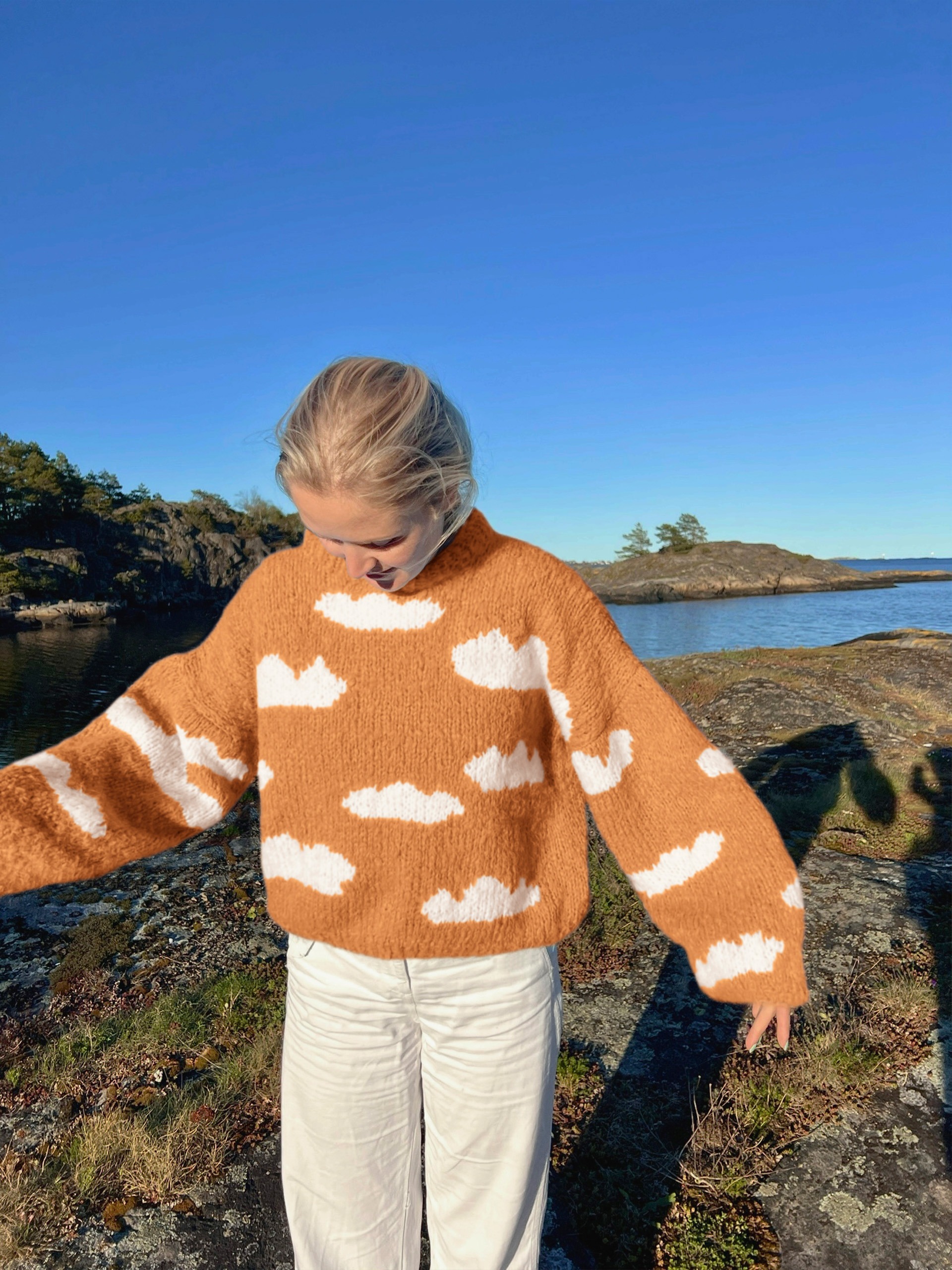 IR 01-04ah Skyhigh genser (Fnugg in Florence)