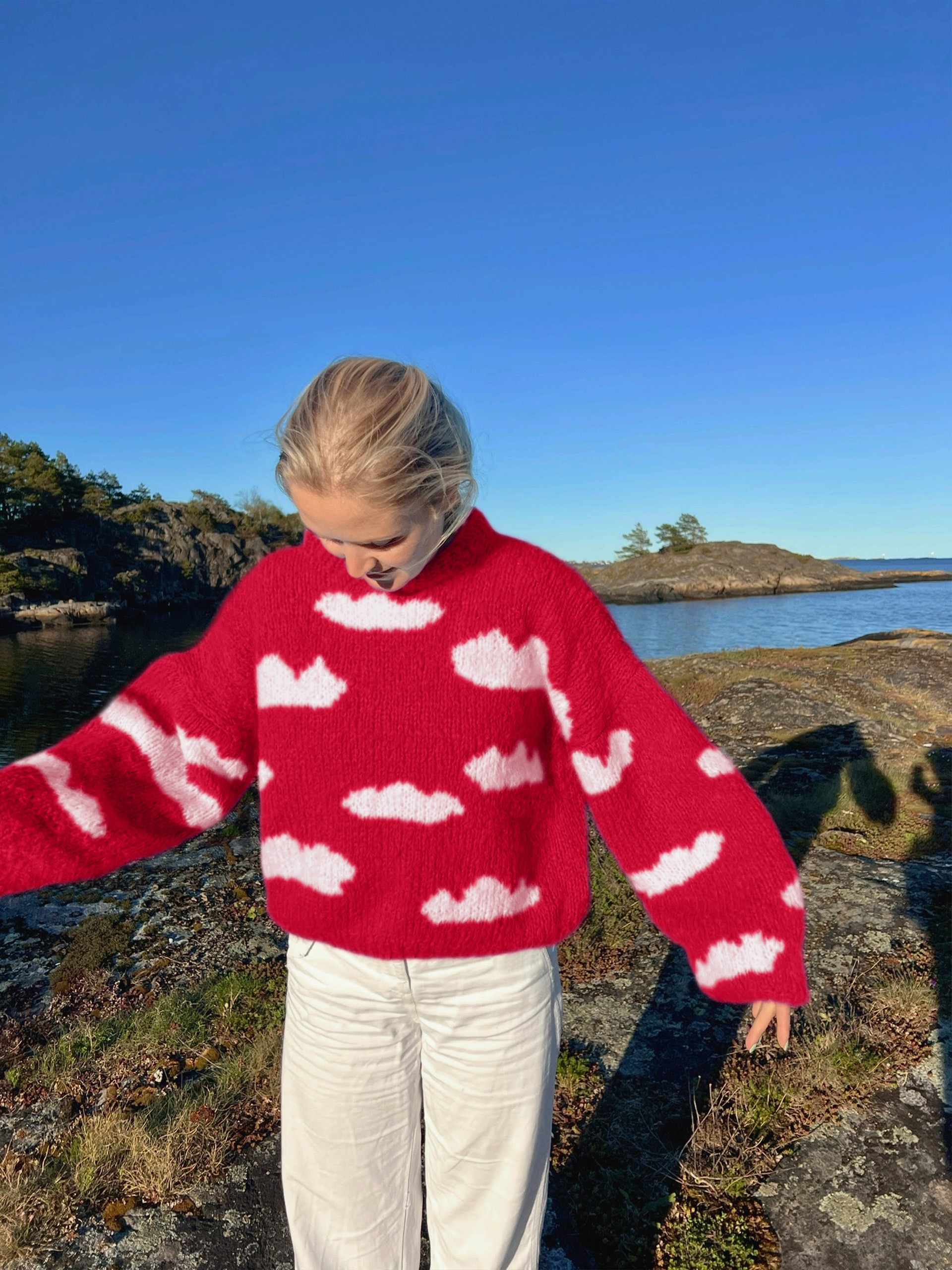 IR 01-04f Skyhigh genser (Fnugg in Florence)