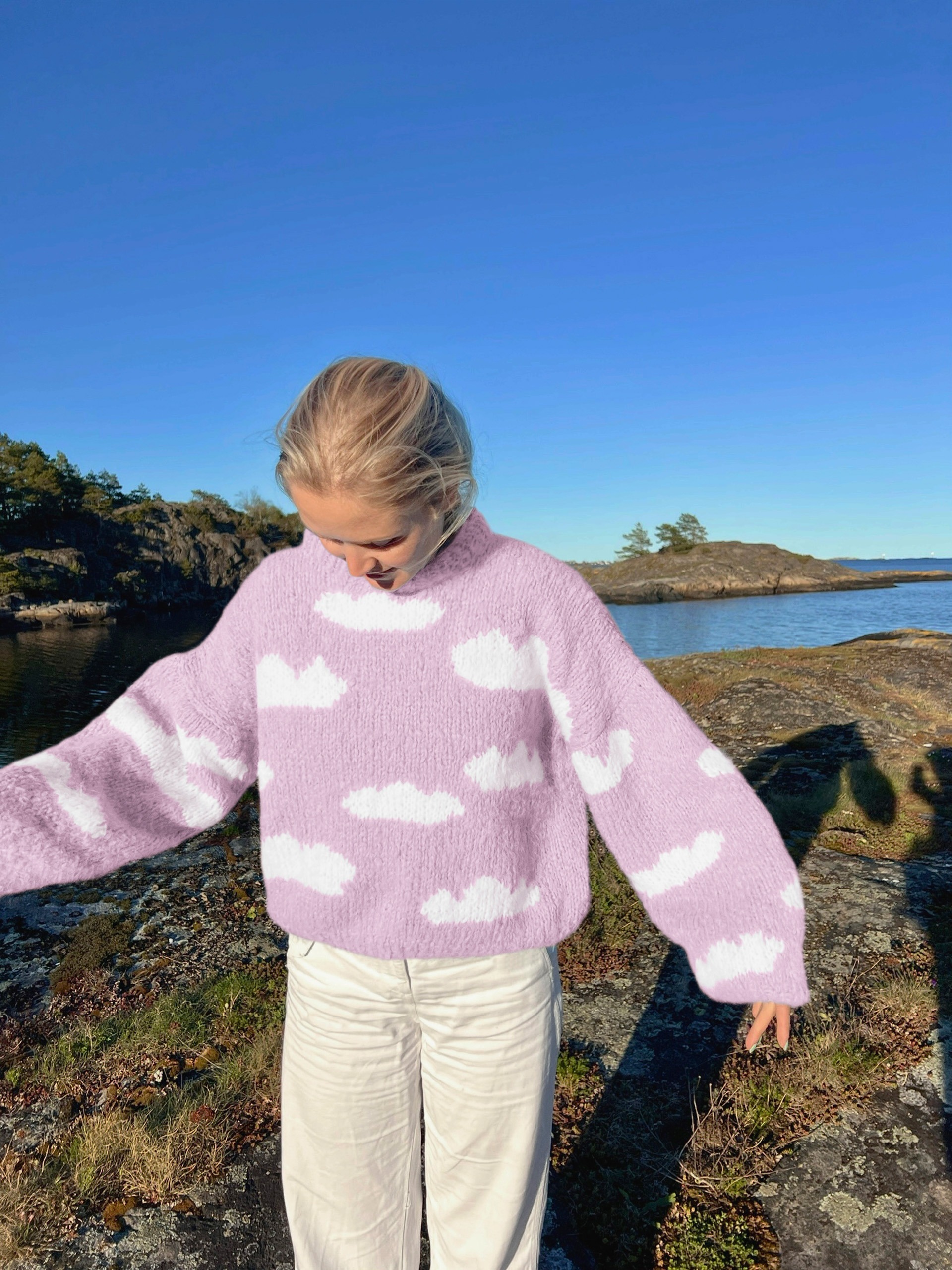 IR 01-04h Skyhigh genser (Fnugg in Florence)