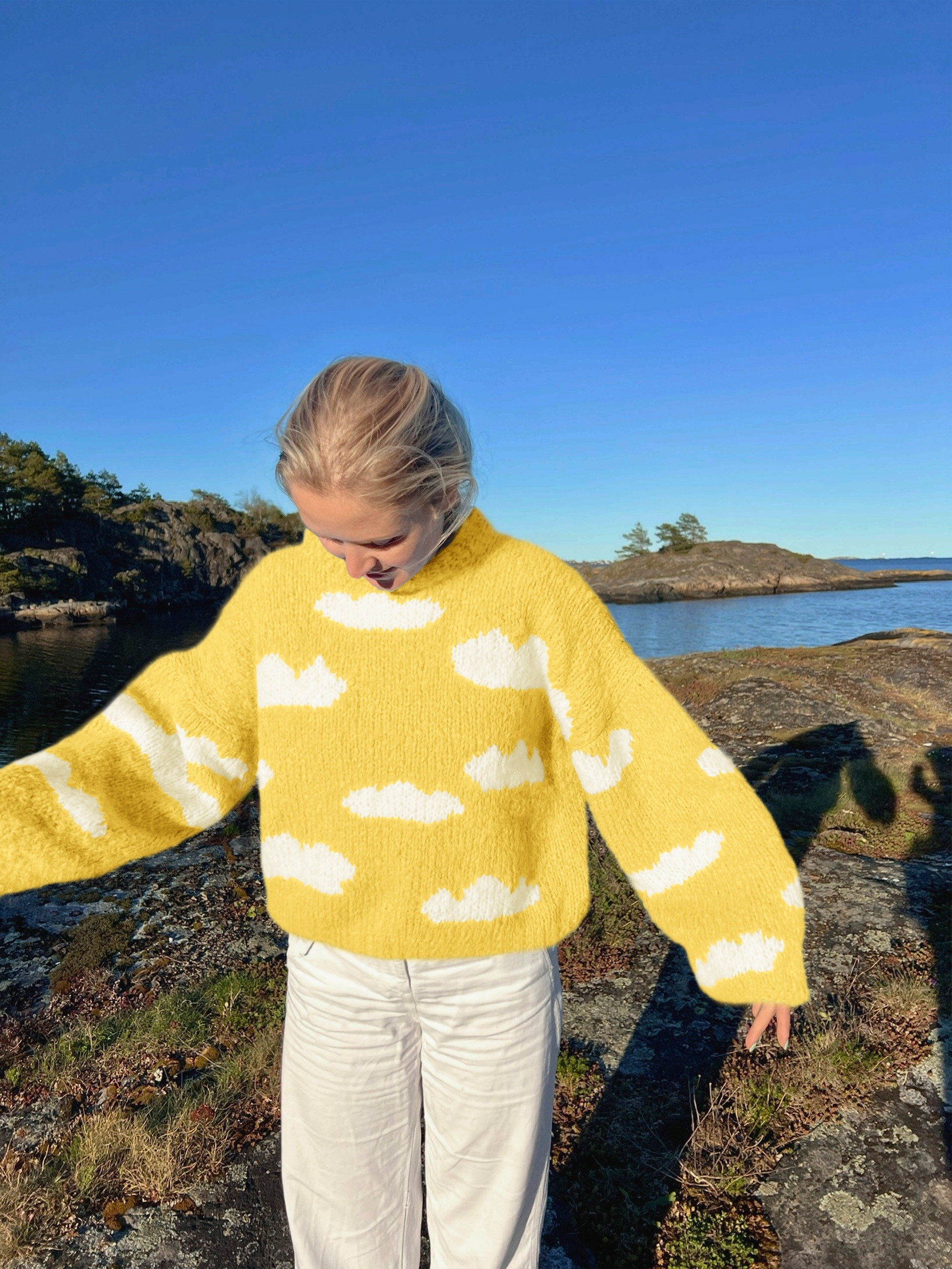 IR 01-04n Skyhigh genser (Fnugg in Florence)