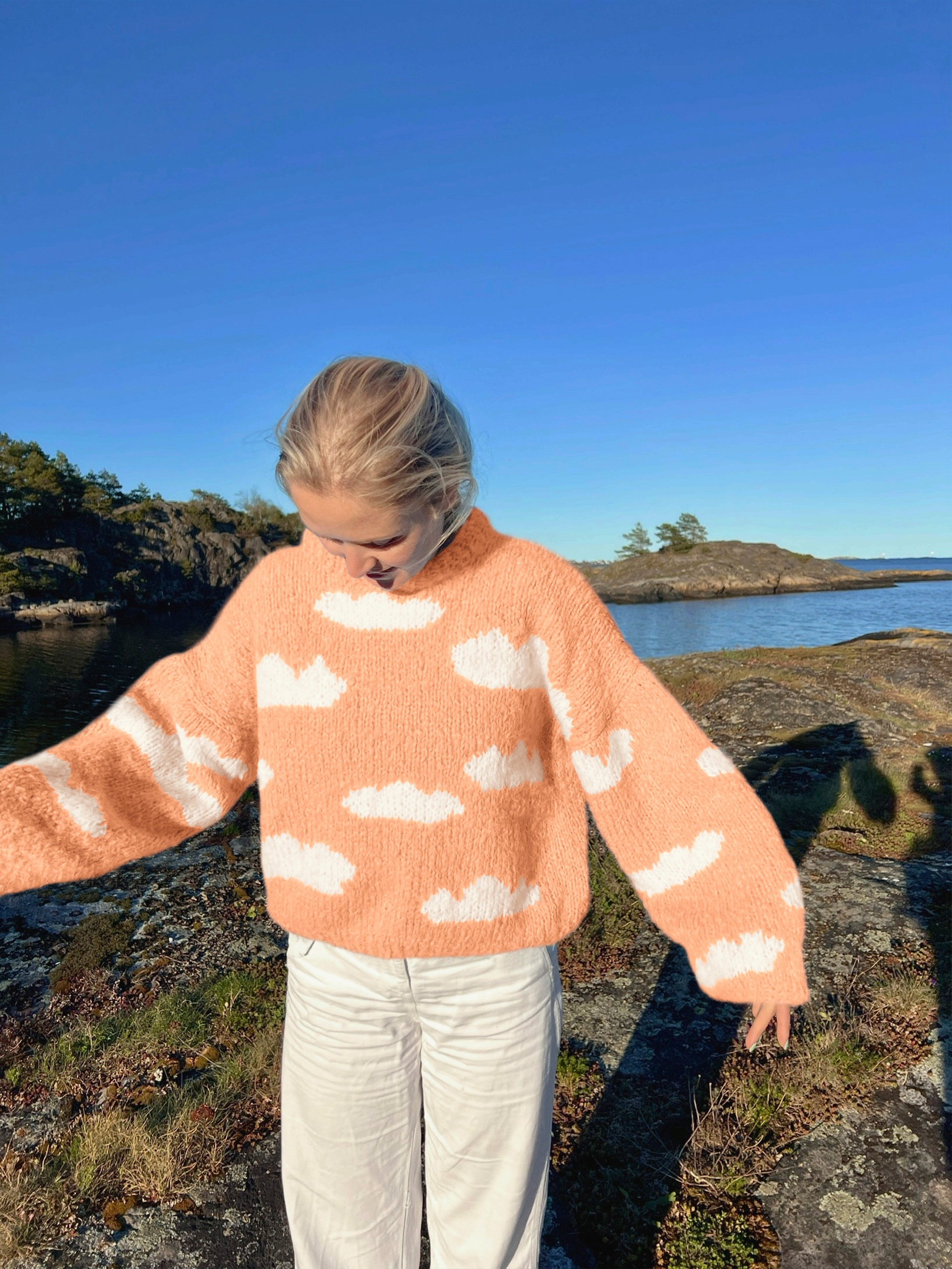 IR 01-04z Skyhigh genser (Fnugg in Florence)