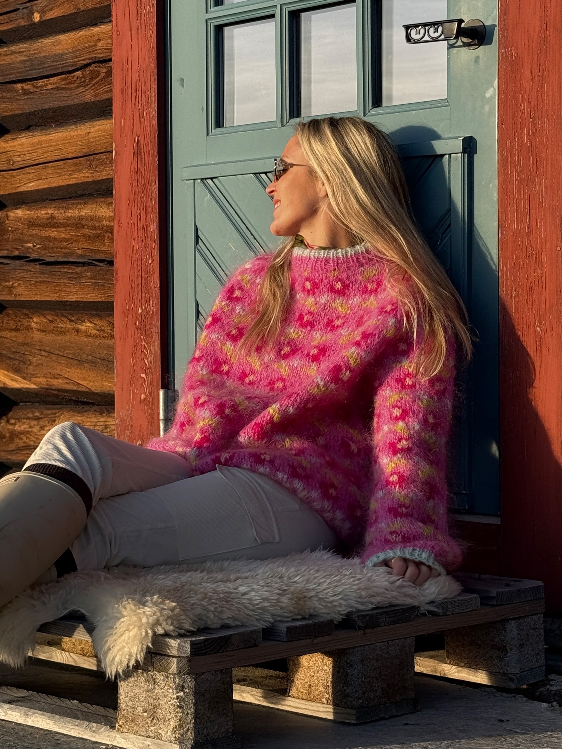 IR 03-05a Ellinor raglangenser (Påfugl in Paris)