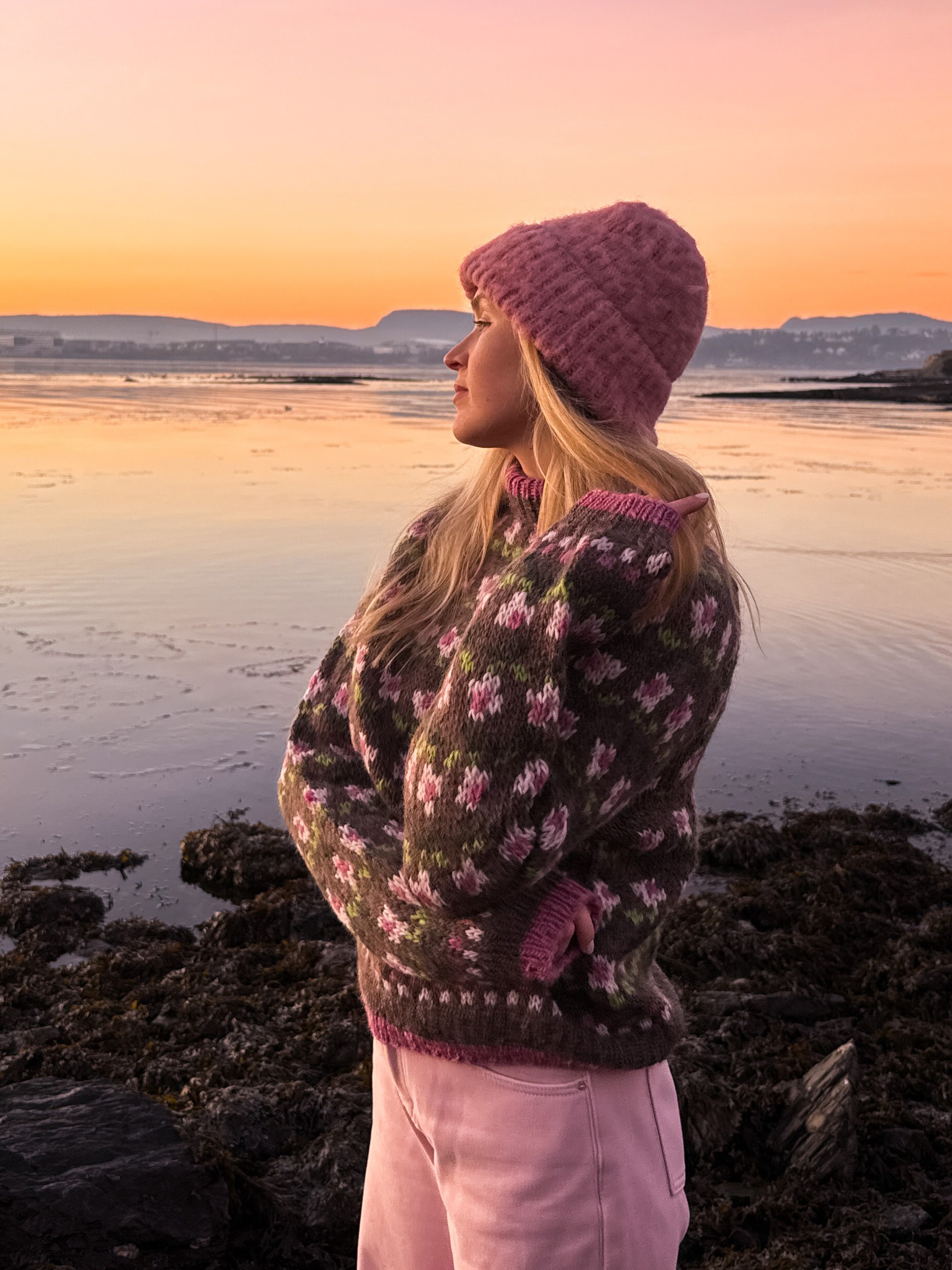 IR 03-21a Ellinor raglangenser (Ulla)